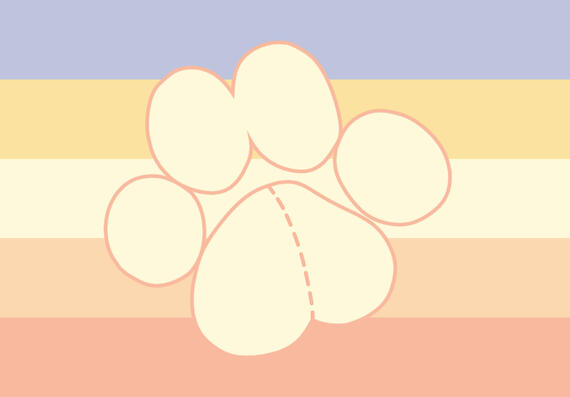 Pupplushgender